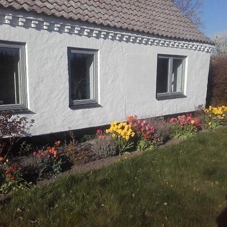 Bed and Breakfast Lindholt Fjerritslev Exterior foto