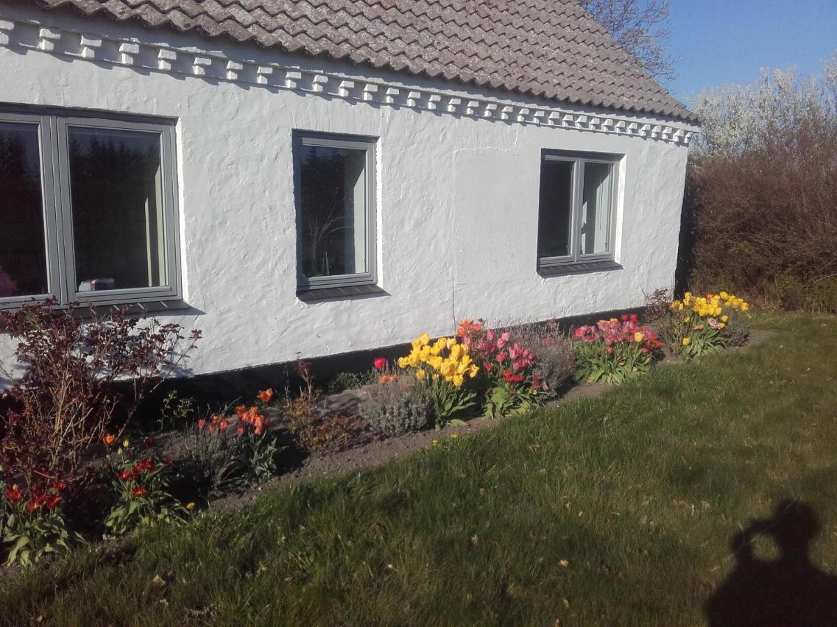 Bed and Breakfast Lindholt Fjerritslev Exterior foto